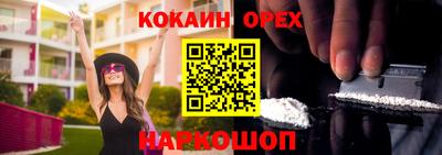 ПСИЛОЦИБИНОВЫЕ ГРИБЫ Гусев