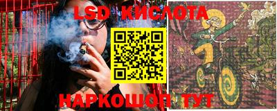 ПСИЛОЦИБИНОВЫЕ ГРИБЫ Гусев