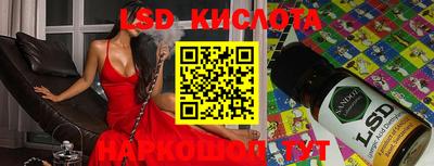 ПСИЛОЦИБИНОВЫЕ ГРИБЫ Гусев