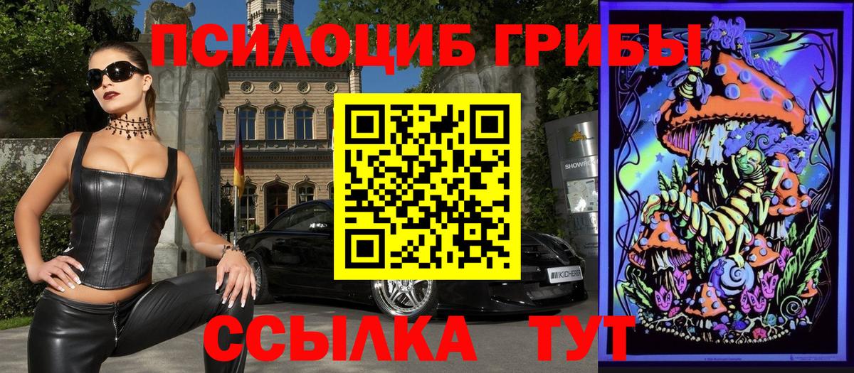 Красноармейск  Псилоцибиновые грибы GOLDEN TEACHER  Вход с VPN 